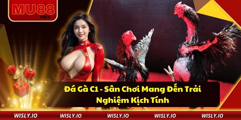 Đá Gà C1 - Sân Chơi Mang Đến Trải Nghiệm Kịch Tính Đá Gà C1 - Sân Chơi Mang Đến Trải Nghiệm Kịch Tính