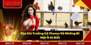 Địa Chỉ Trường Gà Thomo Và Những Bí Mật Ít Ai Biết Địa Chỉ Trường Gà Thomo Và Những Bí Mật Ít Ai Biết