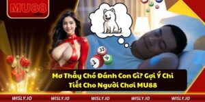 Mơ Thấy Chó Đánh Con Gì? Gợi Ý Chi Tiết Cho Người Chơi MU88 Mơ thấy chó đánh con gì?