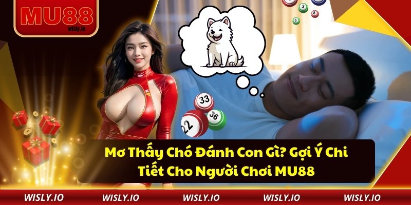 Mơ Thấy Chó Đánh Con Gì? Gợi Ý Chi Tiết Cho Người Chơi MU88 Mơ thấy chó đánh con gì?